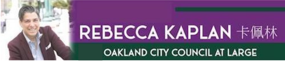 Rebecca Kaplan for City Council 2020 Officeholder
